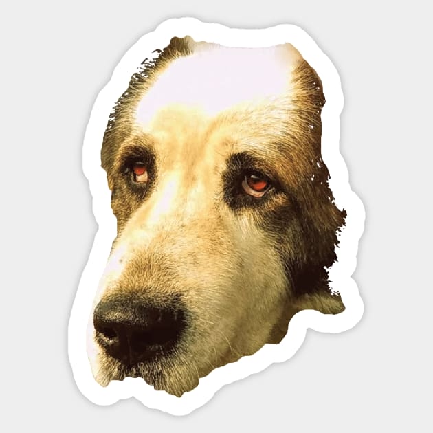 big sad dog Sticker by Hujer